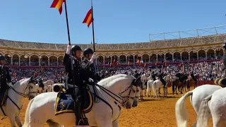 XXXVII Exhibición de Enganches de Sevilla y concursos 2023 || Plaza de toros de la Real Maestranza