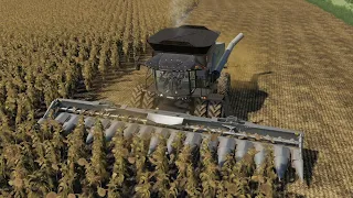 Farmersburg Ep#35 | Planting, Harvest | FS19 Timelapse | Farming Simulator 19 Timelapse