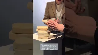 Mycelium bricks exhibited in NYC #Shorts