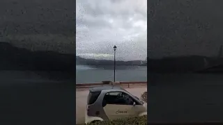 Жители Греции сняли видео, на котором стая птиц выстраивается в воздухе в странные фигуры.