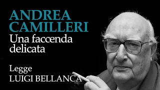 Andrea Camilleri - Una faccenda delicata