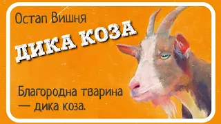 🇺🇦 ДИКА КОЗА (Остап Вишня) - зі збірки "Мисливські усмішки"