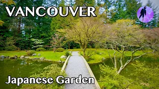 Vancouver🌸 UBC Nitobe Japanese Garden Walk |4K| iphone 15pro