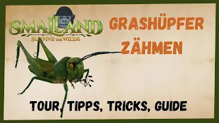 🦗 SMALLAND Surive the Wilds 🦗  Grashüpfer Zähmen 2023 [/Taming/INFO/ GUIDE/Deutsch/ Tiere zähmen ]