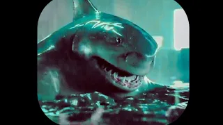 Nanaue the King Shark edit ( Never Had The Balls - Rex Orange County )