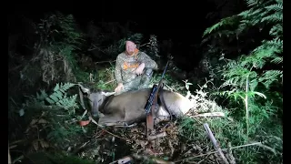 The hunt after the 30inch Sambar Stag