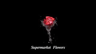 supermarket flowers - ed sheeran// slowed + reverb
