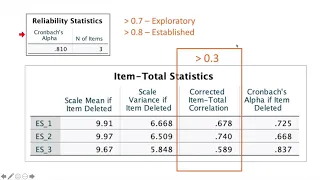 Reliability Analysis Using SPSS - Inter Item Consistency (Cronbach Alpha)