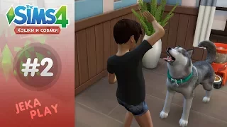 The Sims 4 Кошки и собаки | Озорная собака - #2