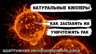 Иммунотерапия НАТУРАЛЬНЫМИ КИЛЛЕРАМИ рака. Перспективное направление лечения онкозаболеваний