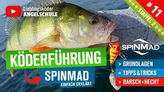 Köderführung SpinMad für Barsch & Hecht (Staffel 2, Folge 11)