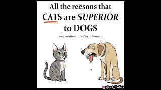 Cats are Better Then Dogs (Adorable Animal Comics) By Pet Foolery Comic Dub