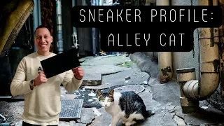 Sneaker Profile Asics x Atmos x Sneaker Freaker Alley Cats