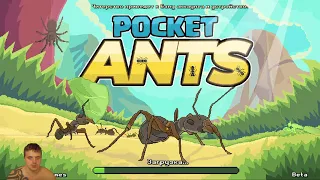 Pocket Ants: Симулятор Колонии ►Обзор,Первый взгляд,Мнение об игре