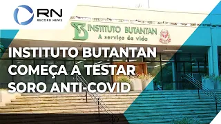 Butantan faz aplicação de soro anti-covid