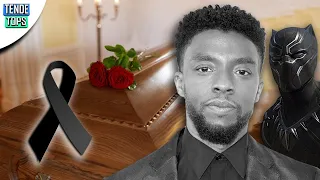 ASÍ SE DESPIDEN LOS VENGADORES DE CHADWICK BOSEMAN " LA PANTERA NEGRA" DE MARVEL.