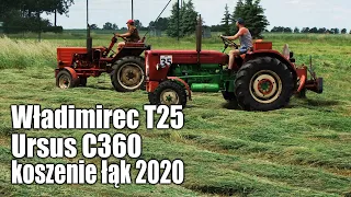 Władimirec T25 i Ursus C360 – koszenie łąk w gospodarstwie Pana Mariusza