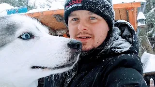 Off Grid Log Cabin: Alone With My Dog In A Snow Storm