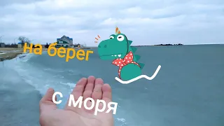 С Моря на Берег  Как выглядит Азовское море зимой