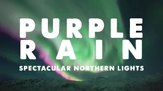 PURPLE RAIN | SPECTACULAR display of aurora borealis! (REAL TIME VIDEO)