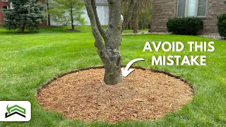 Tree Edging and Mulching Mastery | Tips for Picture-Perfect Circles