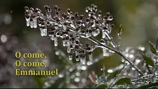 Advent Meditation: O come, O come, Emmanuel