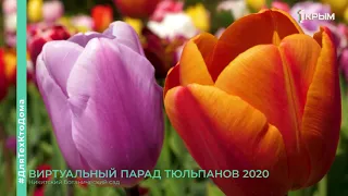 "Парад тюльпанов 2020": Никитский ботанический сад