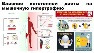 лекция: Влияние кетогенной диеты на мышечную гипертрофию