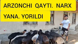 ARZONCHI ASLI SHU QAYTI NARXLAR SINSATSIYA