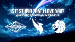 Is it stupid that I love you? | ILLENIUM, SLANDER, SEVEN LIONS Inspired Mix