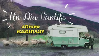 1 Dia en la vanlife🚐 ¿es posible tener rutinas viviendo en una autocaravana fiat ducato viva boss?