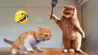 Funniest Cats and Dogs 😺🐶 Funny Animals 2023 😂 Part 31