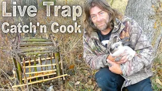 Primitive Live Trap Catch and Cook? | Invasive Evasive Town Bunnies