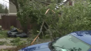 Fallen trees, fences and massive power outages in Houston Heights due to severe thunderstorm