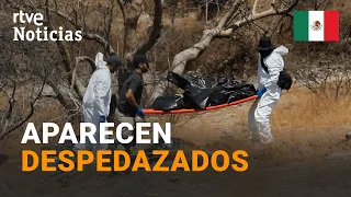 MÉXICO: 45 BOLSAS halladas con los RESTOS de los DESAPARECIDOS del 'CALL CENTER' en ZAPOPÁN | RTVE