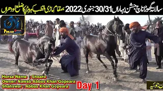 Shero ll Ghulam Abbas Gopera ll Horse Dance ll Mari Qutab Kahroar Pakka Lodhran 30 January 2022