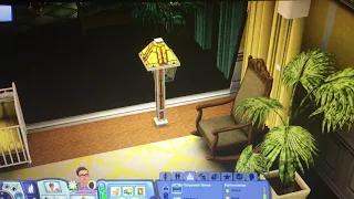 The Sims 3 time anomaly death