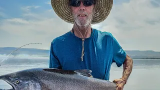 Big Salmon of the Day | Columbia River Salmon Fishing |