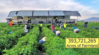 How 393,721,265 Acres Of Farmland In America Are Harvested By Migrant Workers - USA Farming