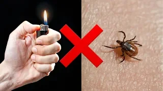 What NOT to do if you find a tick when hiking or camping