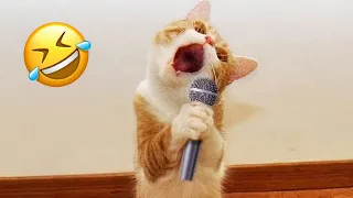 New Funny Animals 2023 😹 Funniest Cats and Dogs Videos 😁🐶 Part 4