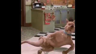 Scoobydoo Farting Slow