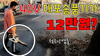 가성비 끝판왕 40V대포송풍기..!!(ft.디월트)