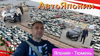 АвтоЯпонии под заказ, перегон, Владивосток  Тюмень, Авто из Японии