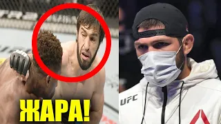 ЖАРА! Хабиб Нурмагомедов на UFC 253! БОЙ Зубайра Тухугов -Хаким Даводу