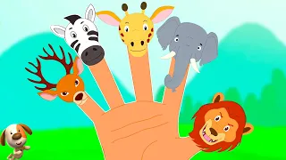 Finger Family & More Nursery Rhymes for Babies