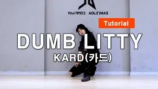 KARD(카드)-DUMB LITTY 안무 튜토리얼/거울모드 Dance Tutorial Mirrorㅣ정은희 선생님
