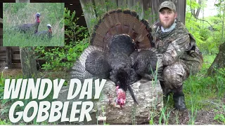 WINDY DAY GOBBLER! Kentucky Turkey Hunting!