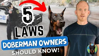 Doberman Owners May Be UNKNOWINGLY Breaking the Law—Here’s How