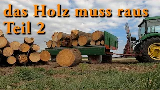 das Holz muss raus - Teil 2 -